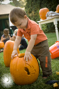 Half complete spider pumpkin!