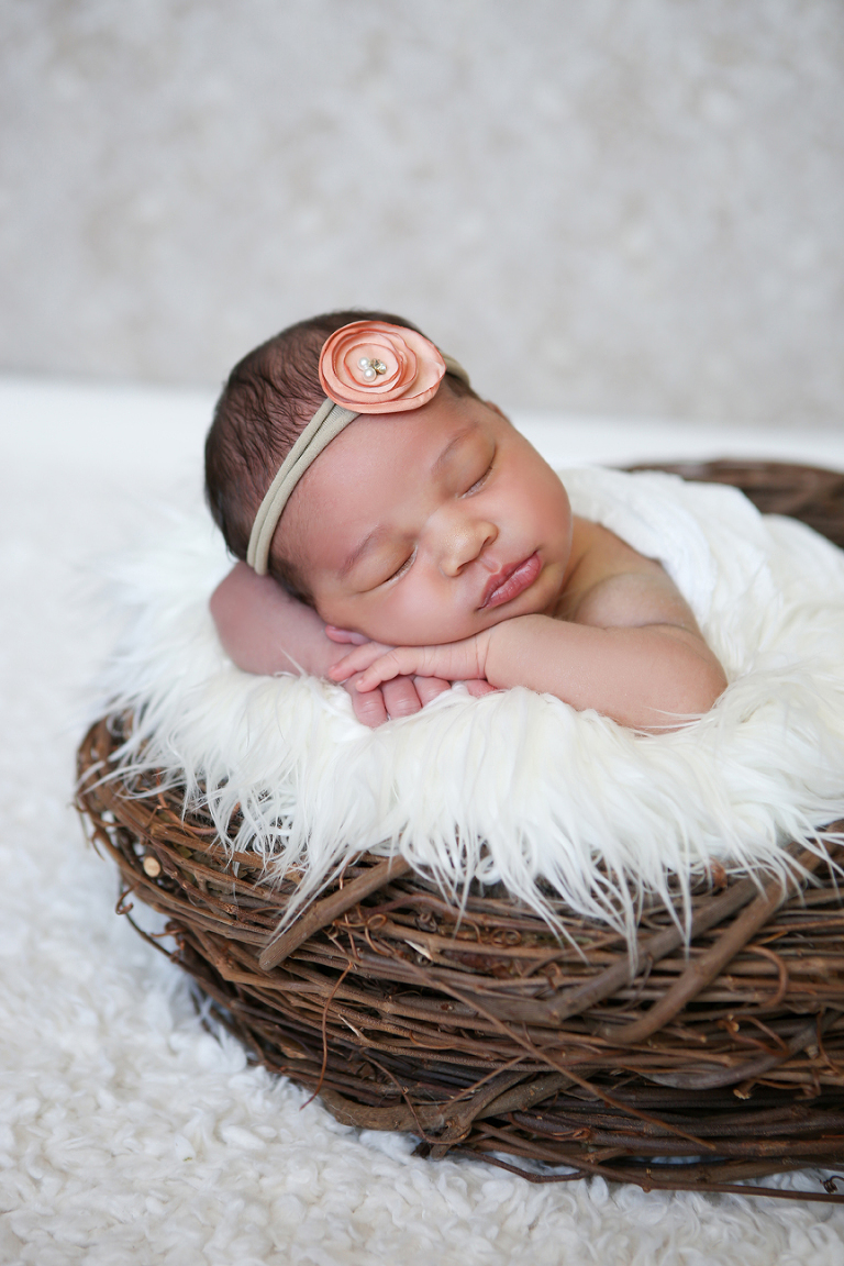 Los Angeles Newborn Photographer, Newborn Girl Laying In Nest, Nest Prop, Newborn Baby Girl Headband
