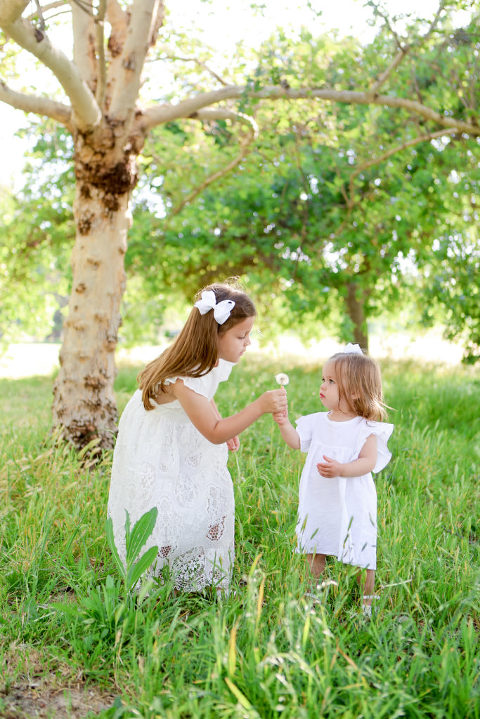 Diana Henderson, Los Angeles Family Photographer, Los Angeles Mini Sessions, Lake Balboa Family Photography, Lake Balboa Photos, Lake Balboa Pregnancy Photography