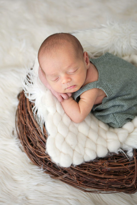 Newborn Photographer Los Angeles, Los Angeles Newborn Photographer, Diana Henderson Photography, Glendora Newborn Photographer, Newborn Baby in nest
